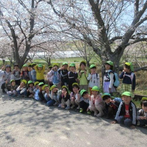 鹿化川まで桜を見に行ったよ！